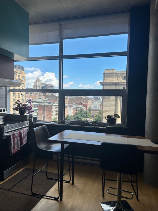 México City <> New York — Salon — photo 2